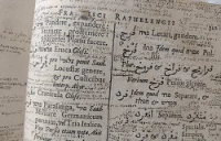 Bekijk details van Een bijzonder Arabisch woordenboek